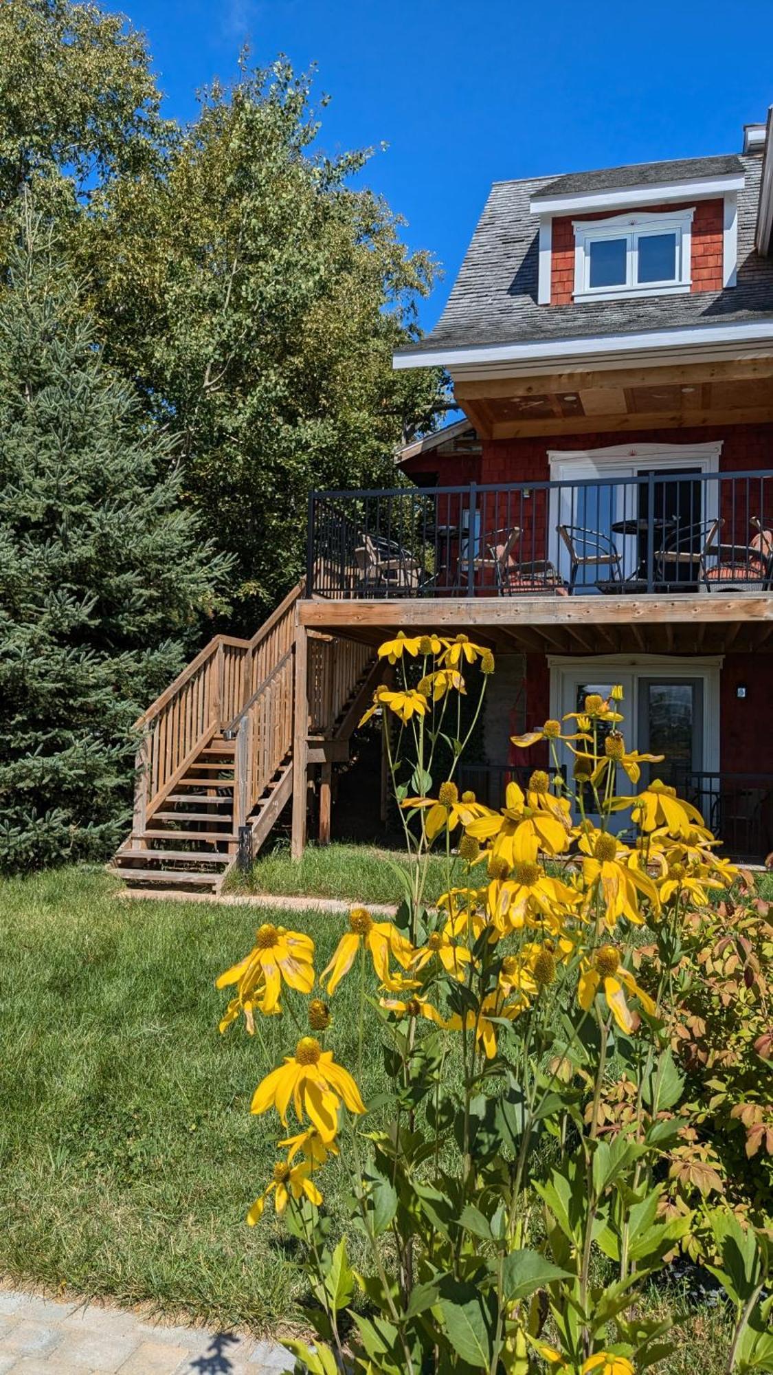 Au Cachalot Cache Le Gite Hotel Tadoussac Exterior photo